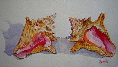 Briland-Conchs---Watercolor-(10x14)