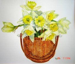 Nantucket-Daffodils---Watercolor-(12x12)